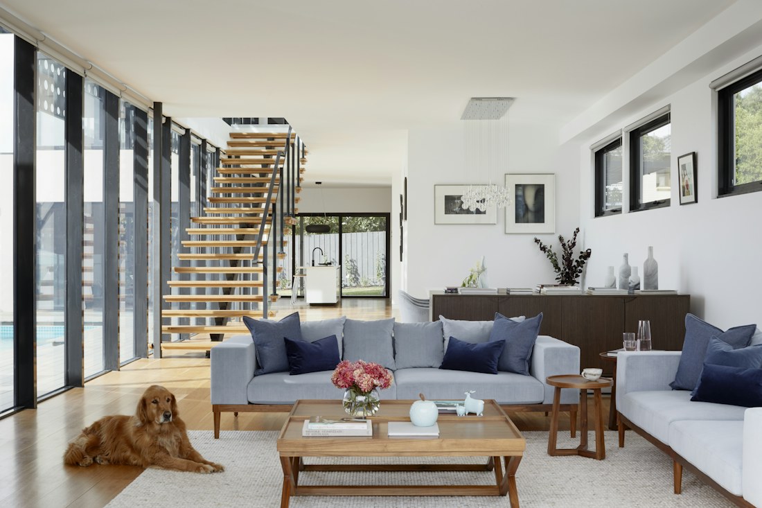 Bright contemporary interior with timber stairs and clean finishes